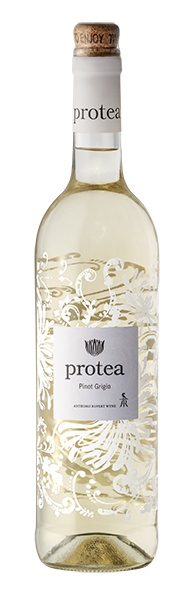 Protea Pinot Grigio-NV