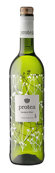 Protea Sauvignon Blanc-NV
